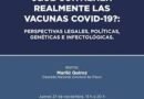 VACUNAS Y COVID 19 EN EL CONGRESO DE LA NACION VACUNAS Y COVID 19 EN EL CONGRESO DE LA NACION